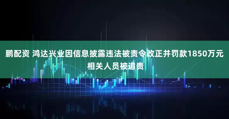 鹏配资 鸿达兴业因信息披露违法被责令改正并罚款1850万元 相关人员被追责