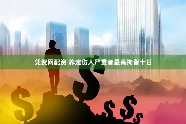 凭资网配资 养宠伤人严重者最高拘留十日